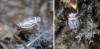 211081 – Photo : Fabien Piednoir – France (06)